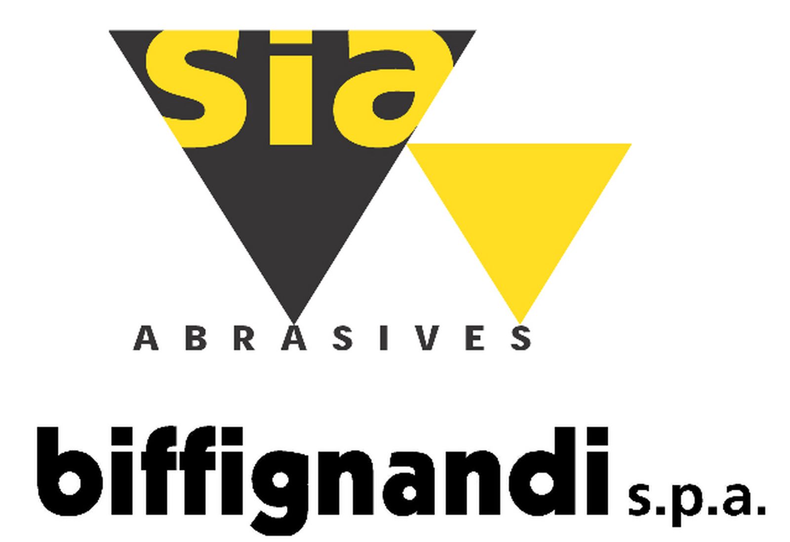 Logo Biffignandi spa